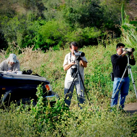 Fieldwork
